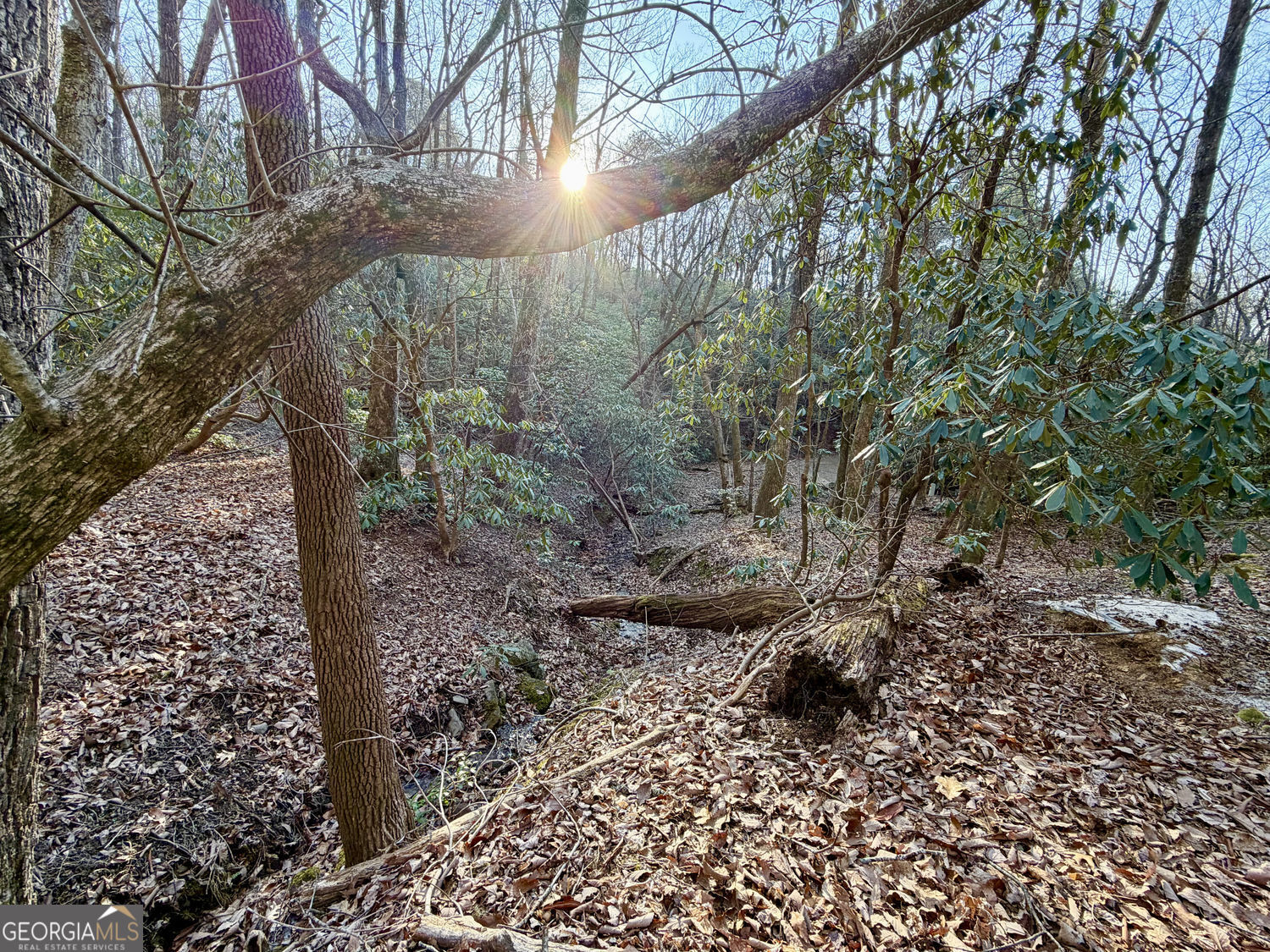 881 Mule Branch Road Helen GA 30545