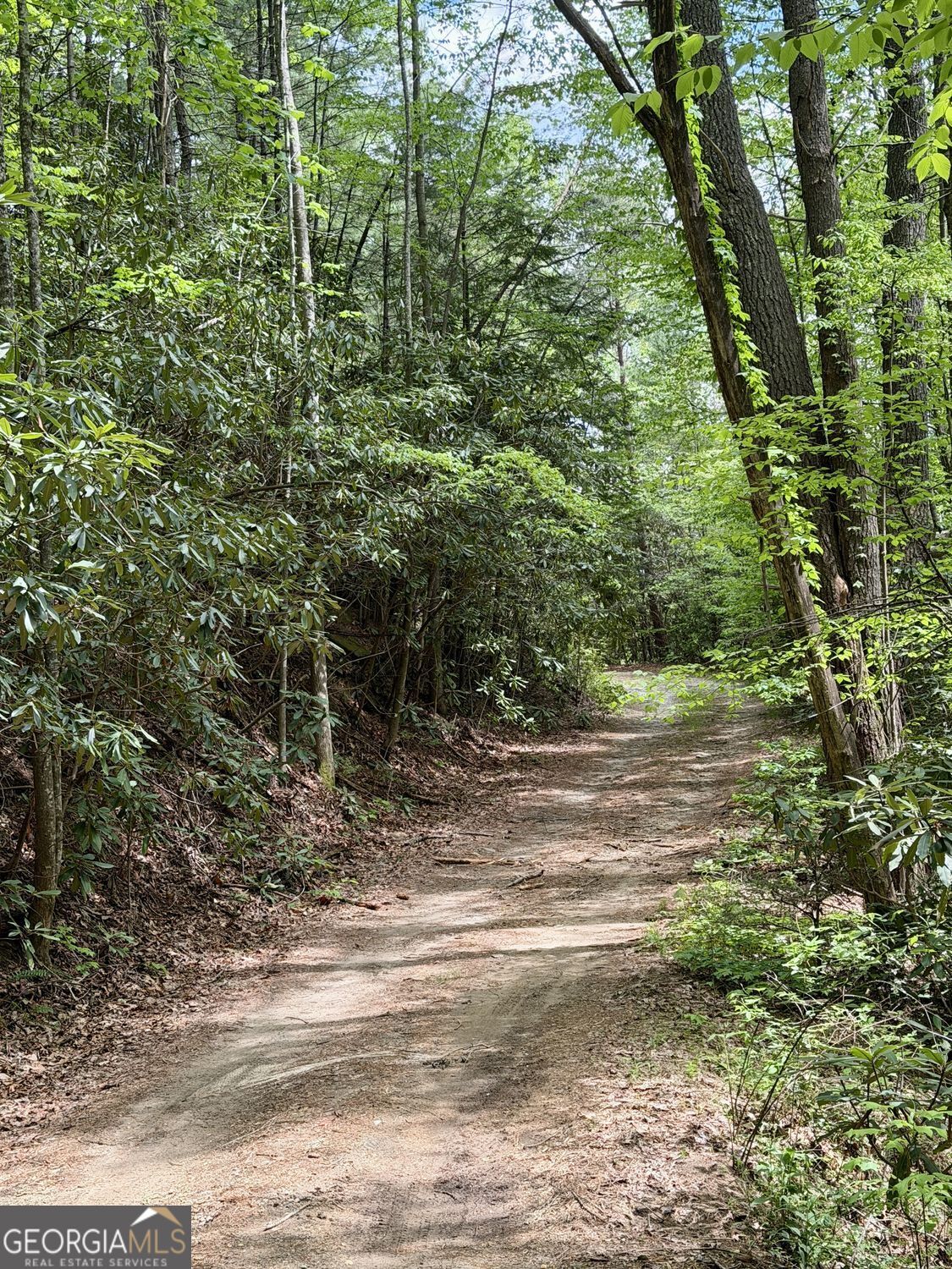 881 Mule Branch Road Helen GA 30545