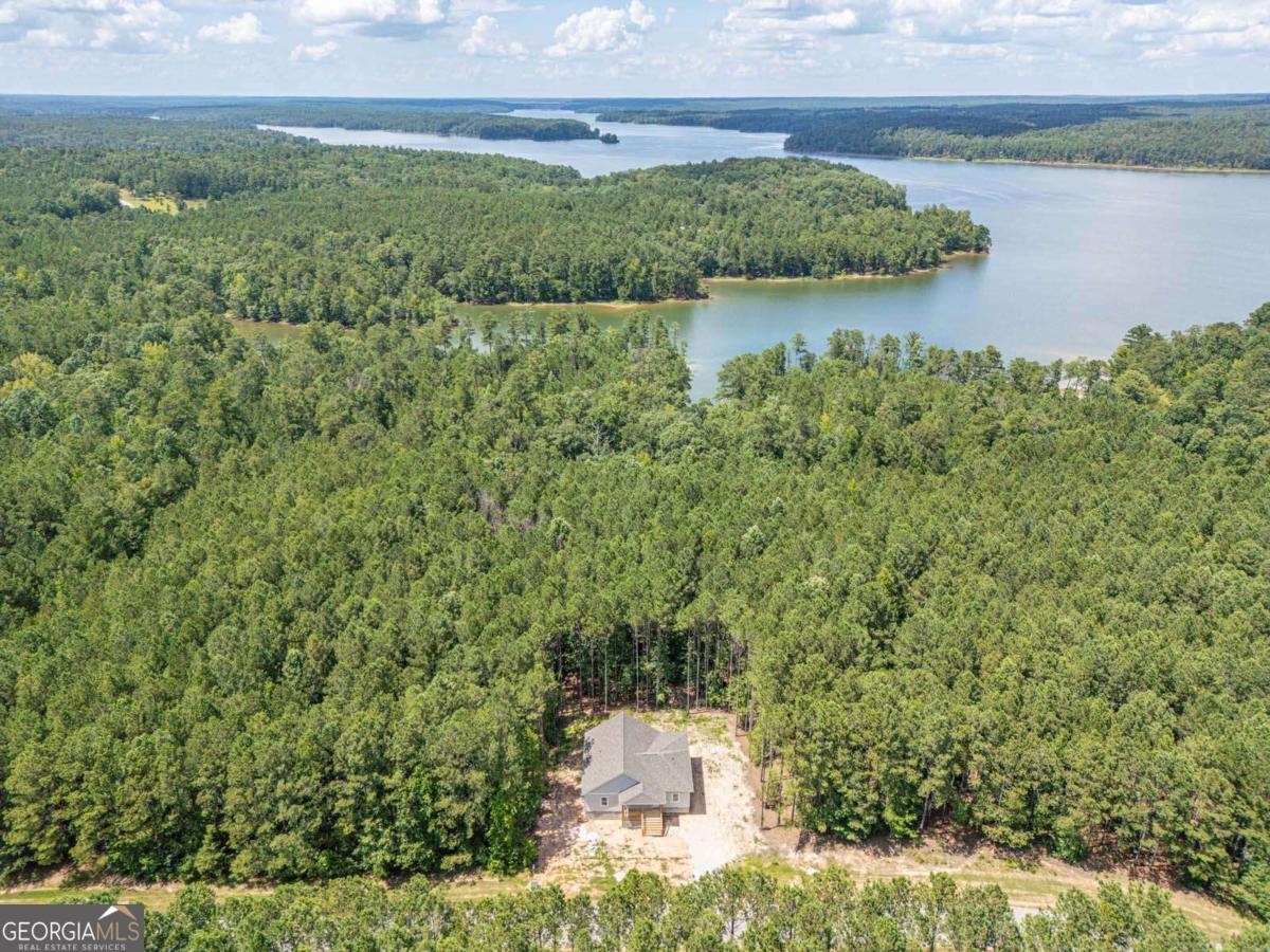 1165 Watersedge Cove Tignall GA 30668