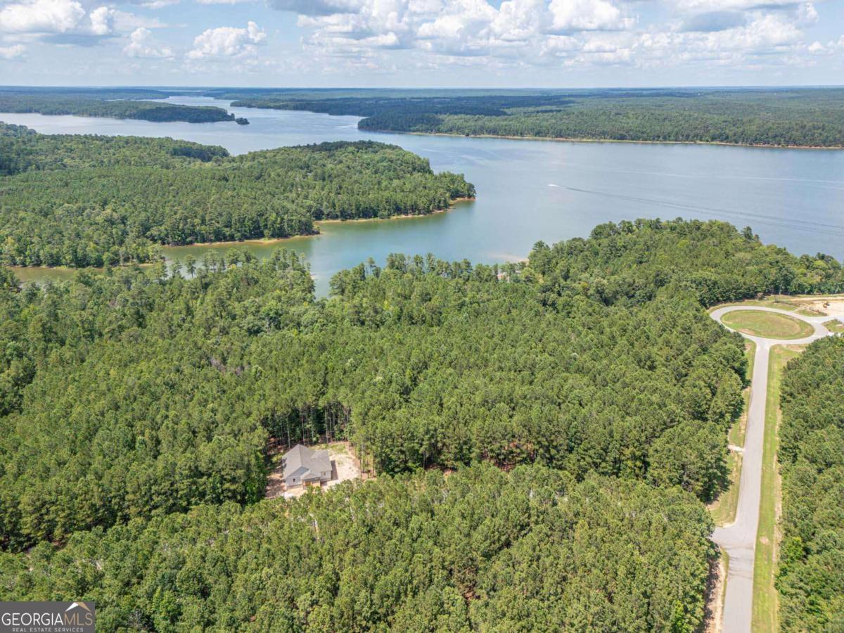 1165 Watersedge Cove Tignall GA 30668