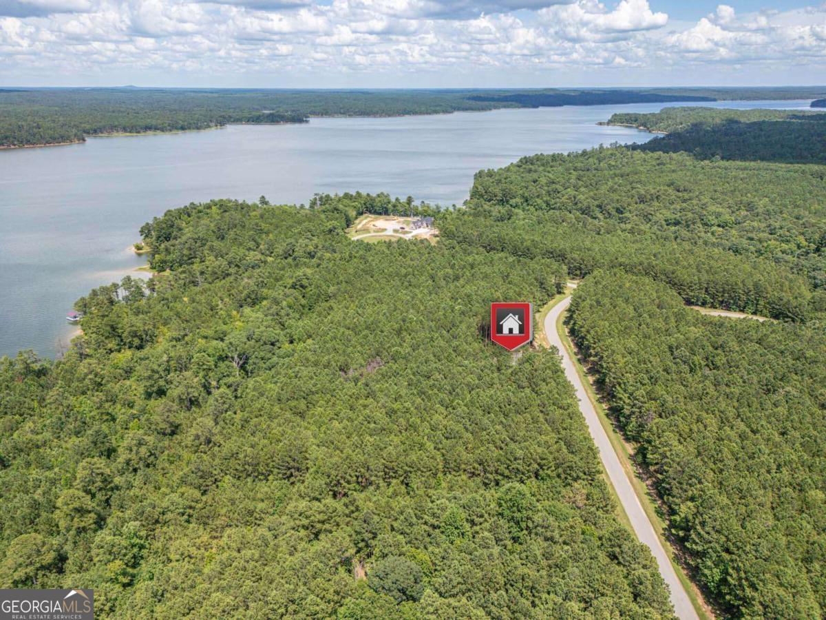 1165 Watersedge Cove Tignall GA 30668
