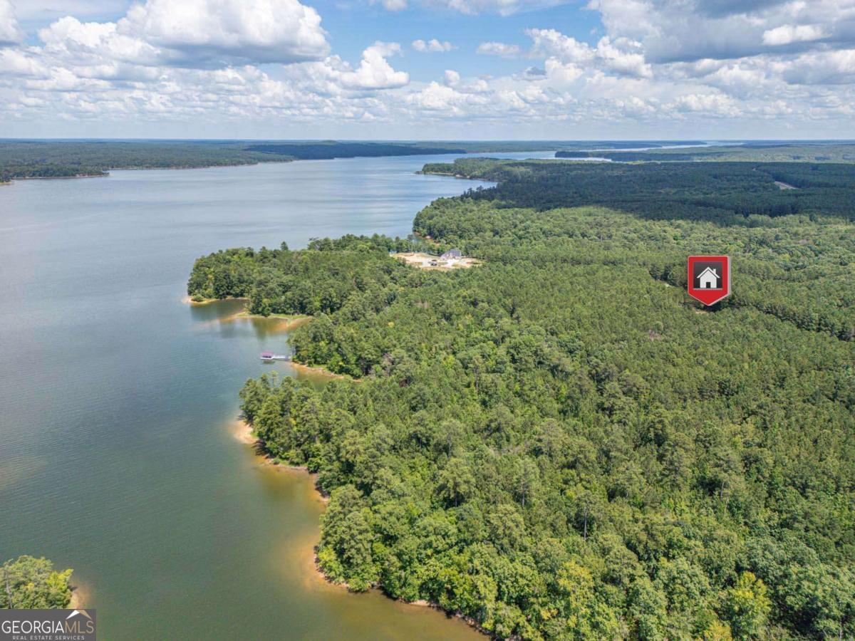 1165 Watersedge Cove Tignall GA 30668