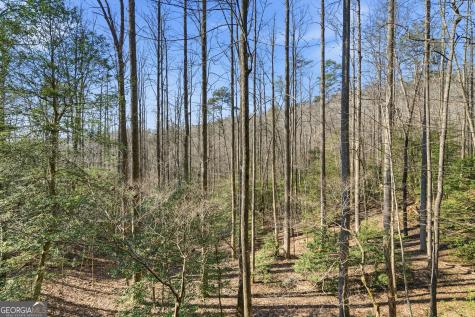 266 Chimney Rock Road Cherry Log GA 30522