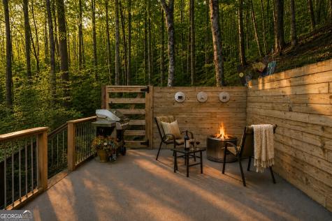 266 Chimney Rock Road Cherry Log GA 30522