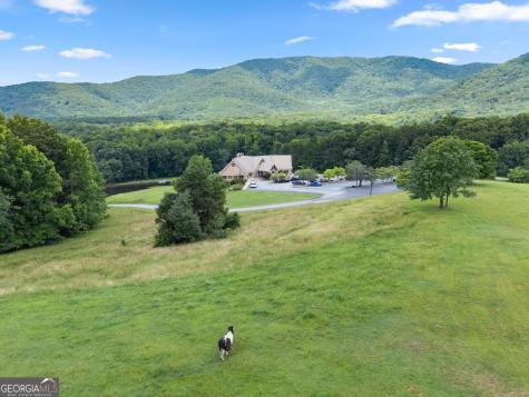 169 Magnificent Way Cleveland GA 30528