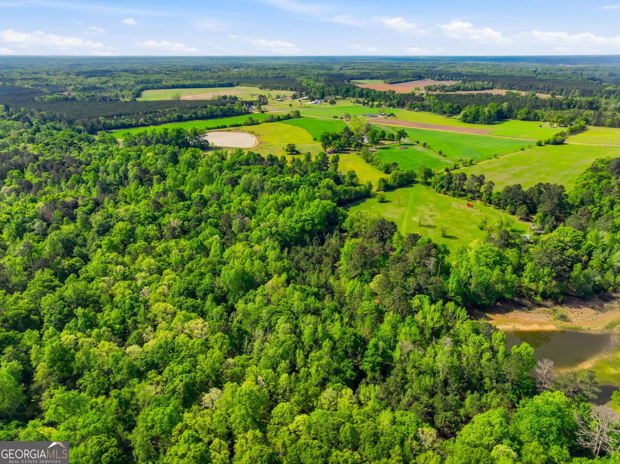 2705 Piney Mount Road Tennille GA 31089