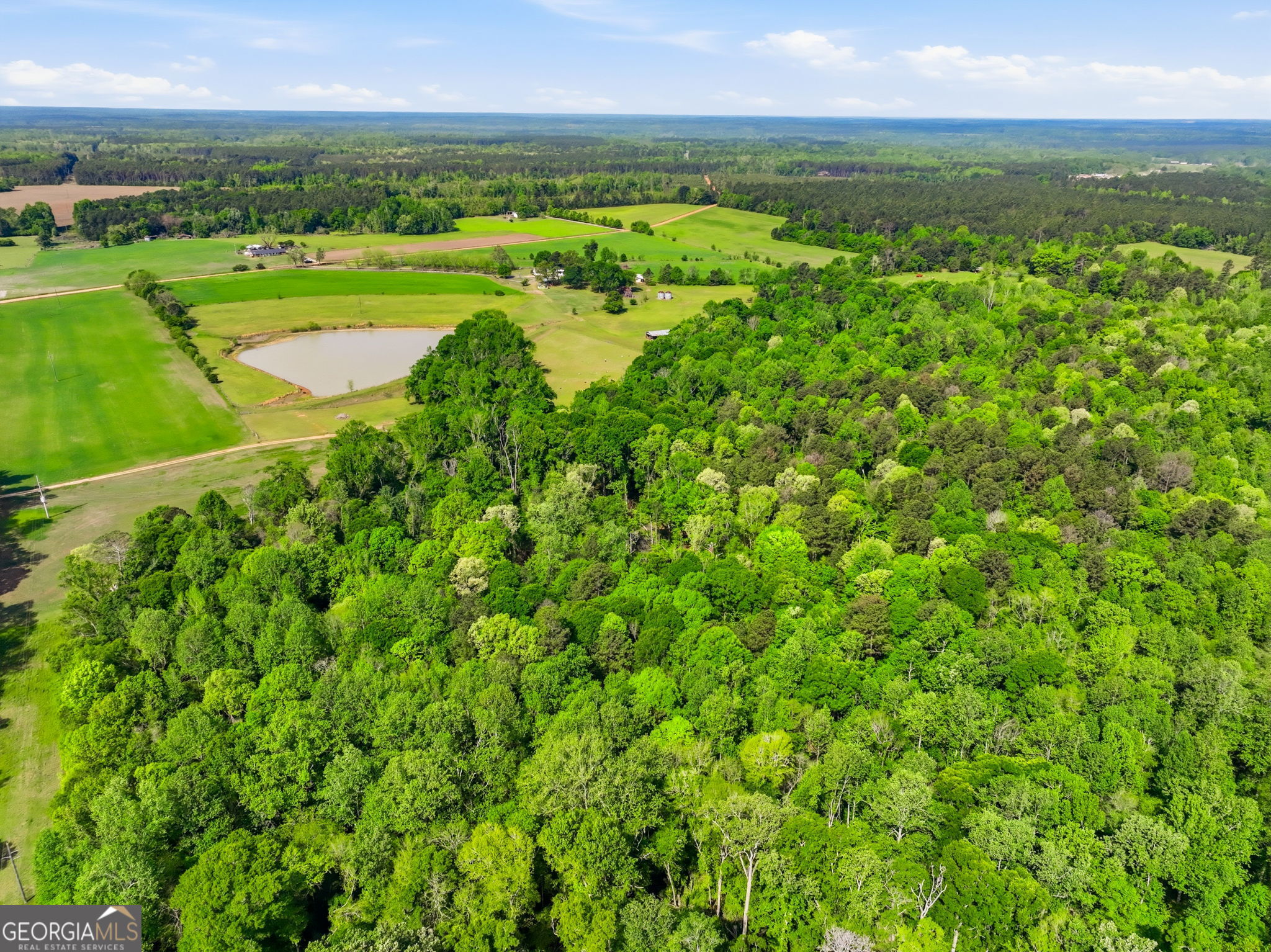 2705 Piney Mount Road Tennille GA 31089