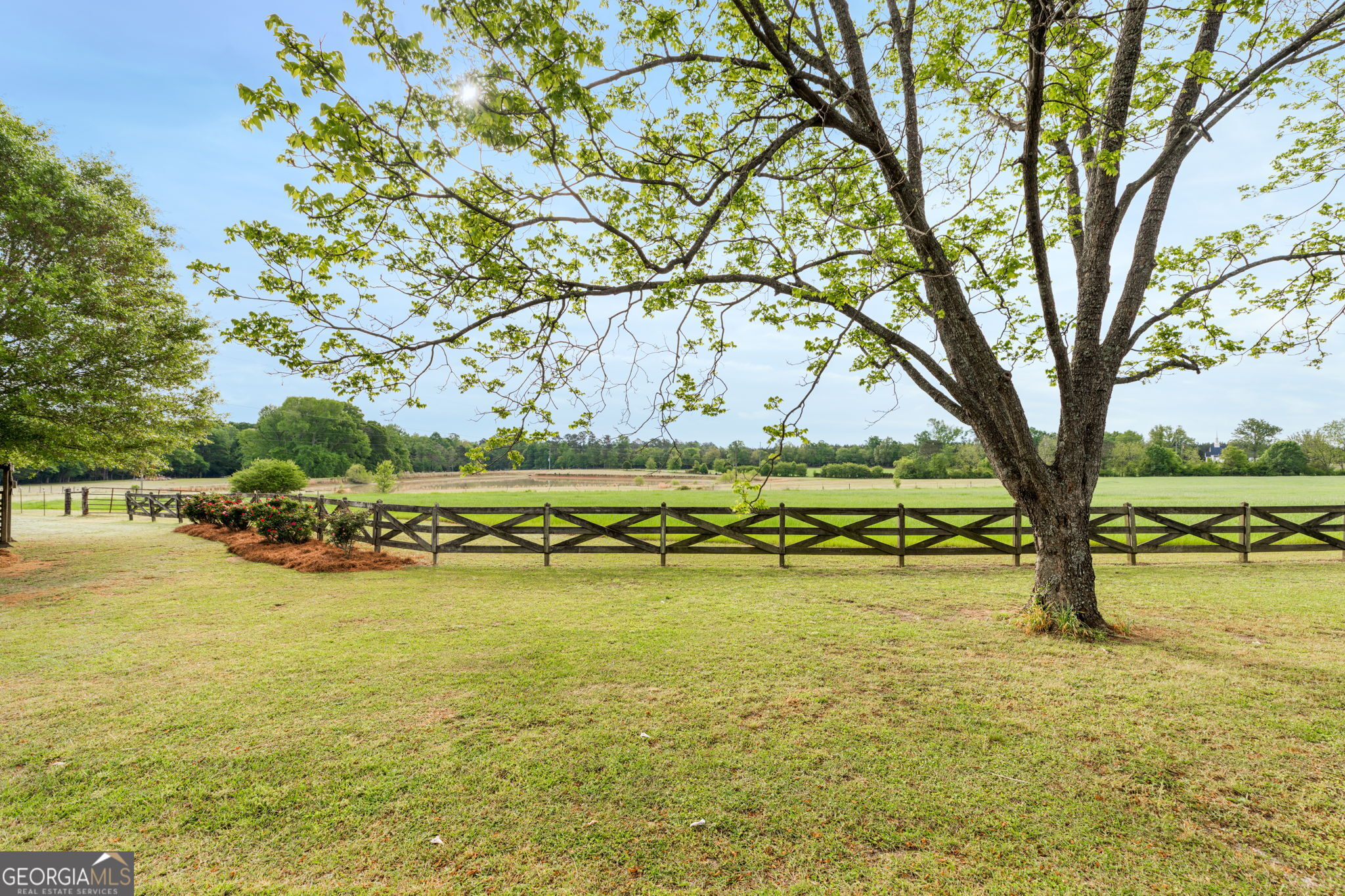 2705 Piney Mount Road Tennille GA 31089