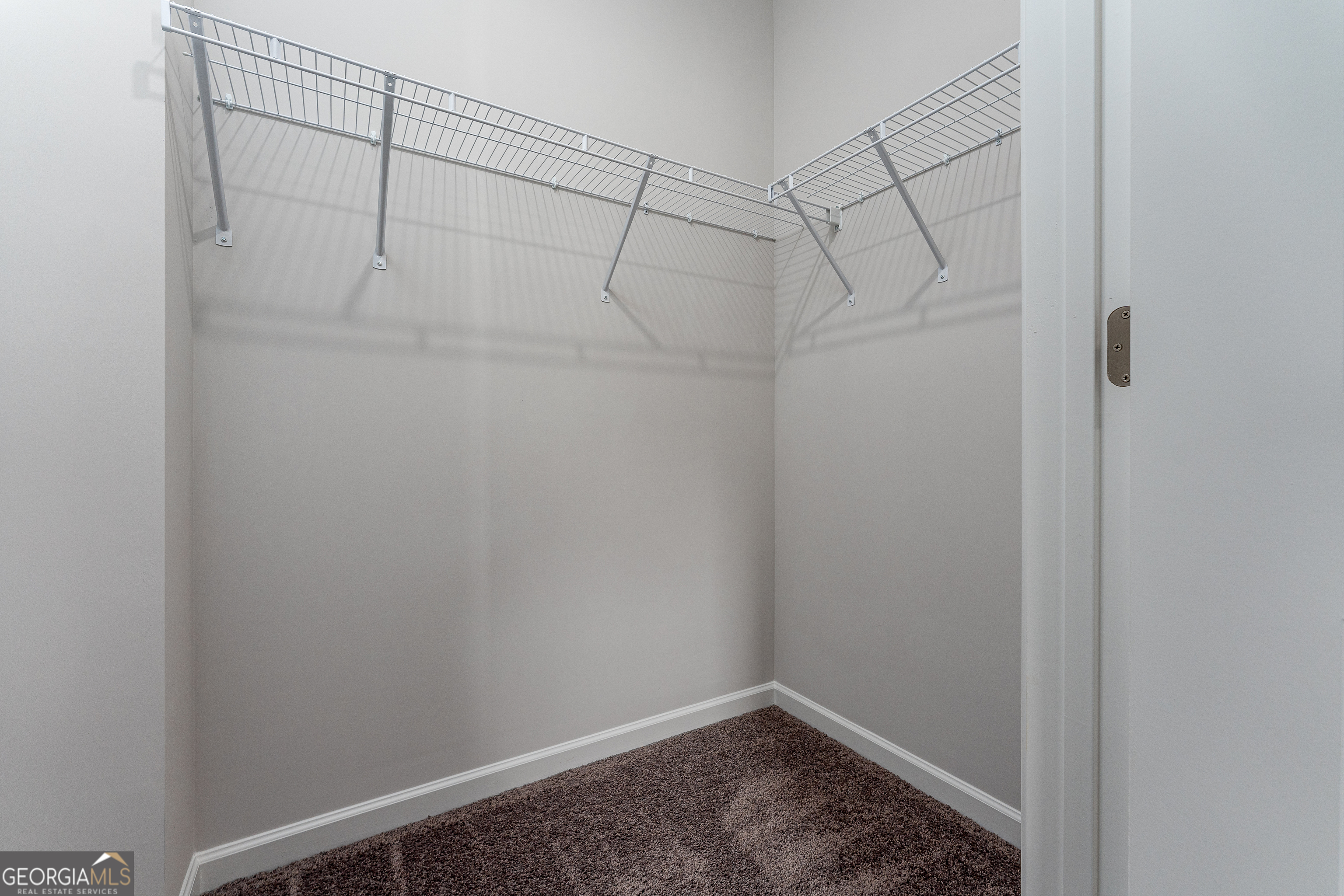 1393 Trellis Court Hampton GA 30228