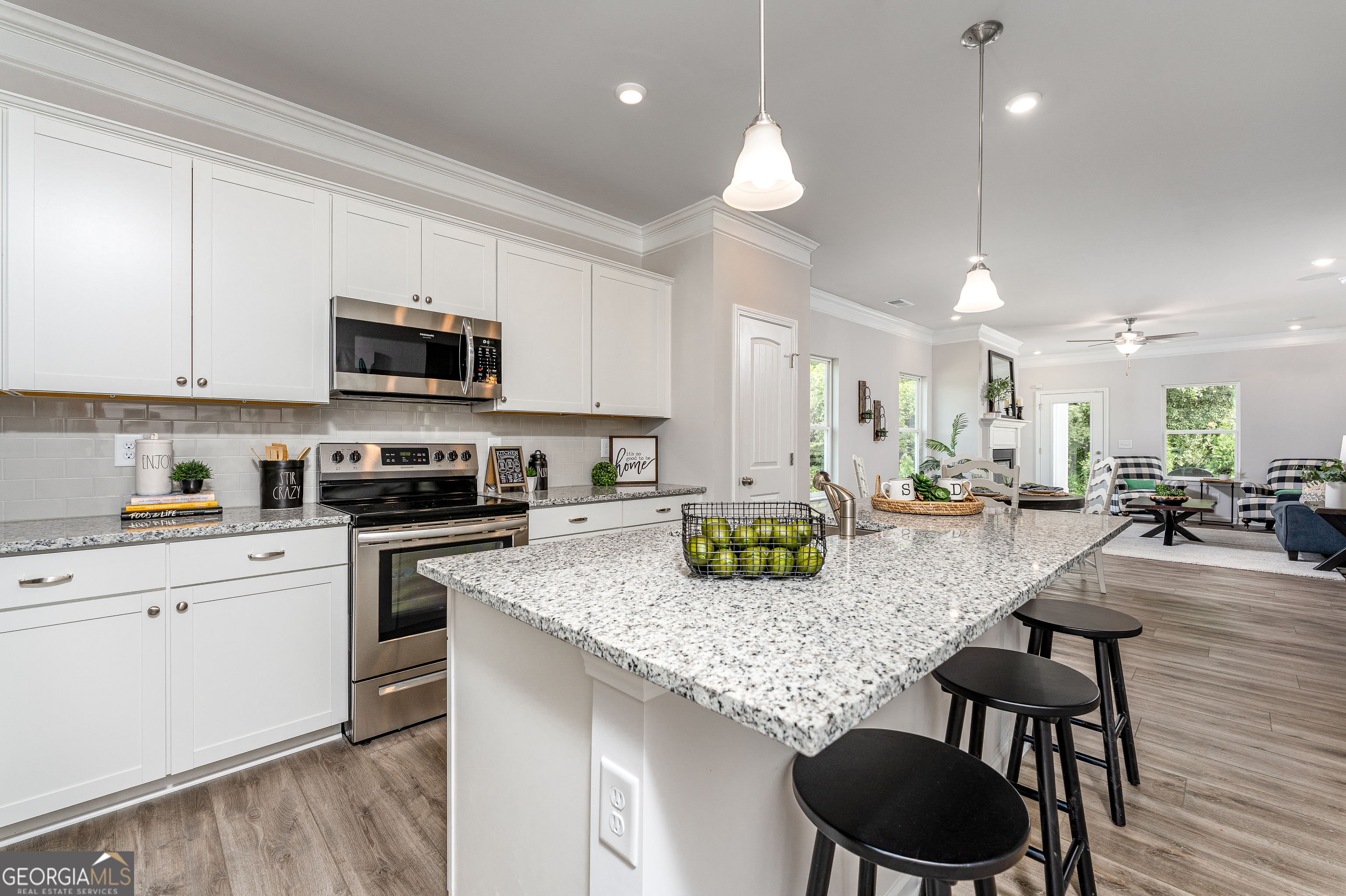 1393 Trellis Court Hampton GA 30228