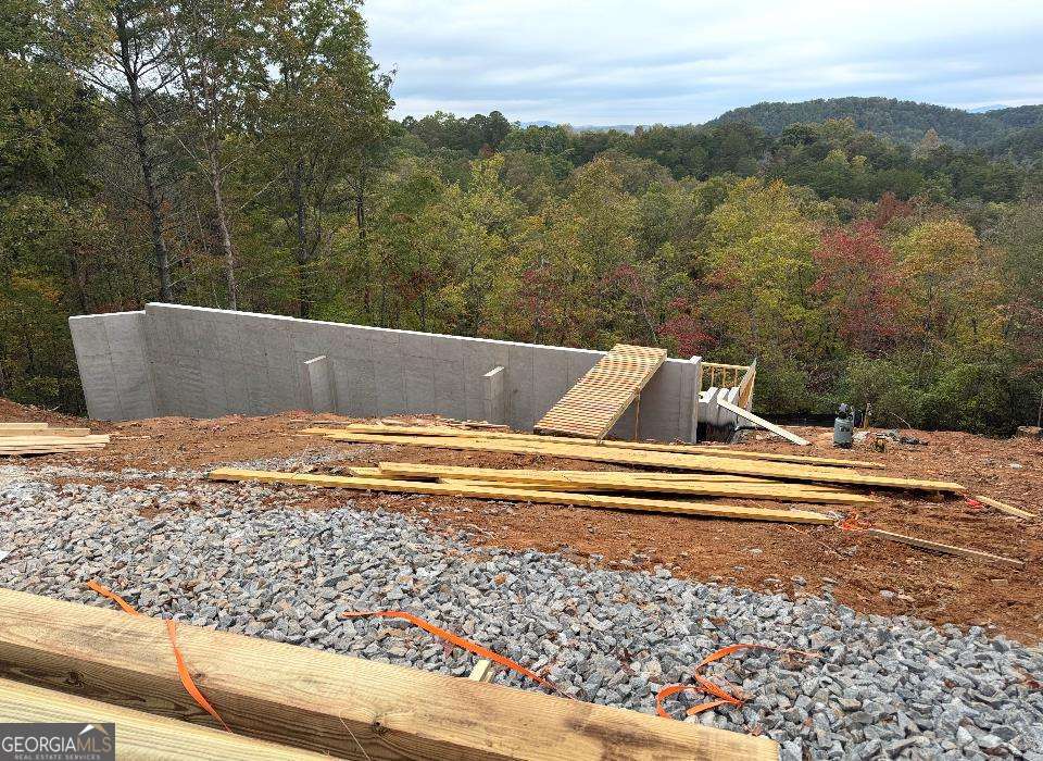 63 Granny Smith Lane Ellijay GA 30536