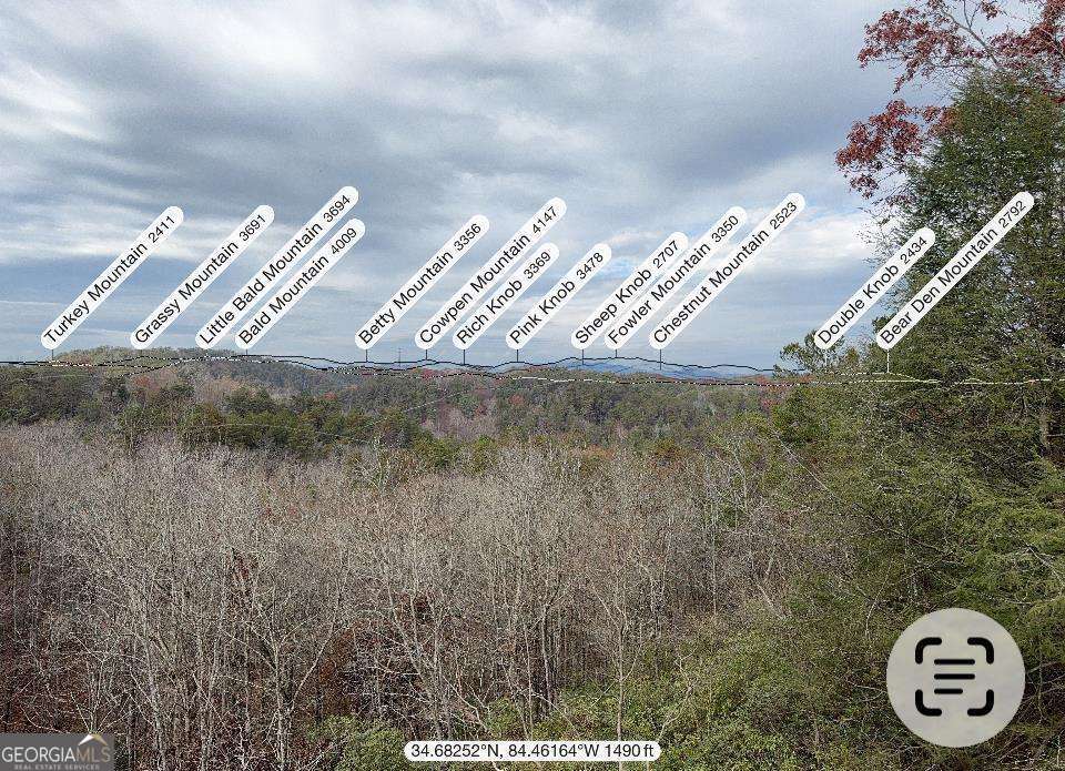 63 Granny Smith Lane Ellijay GA 30536
