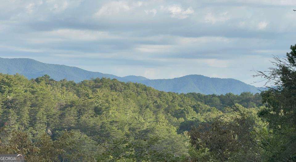 63 Granny Smith Lane Ellijay GA 30536