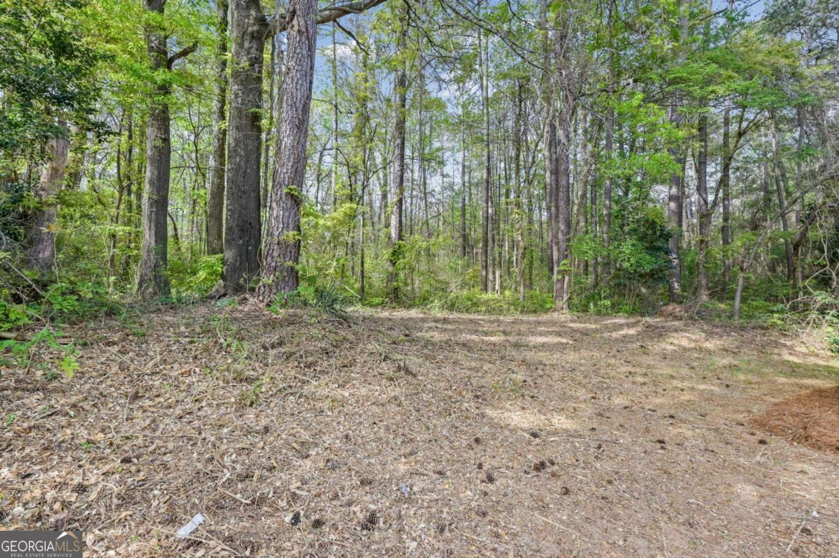7823 Chase Woods Drive Jonesboro GA 30236