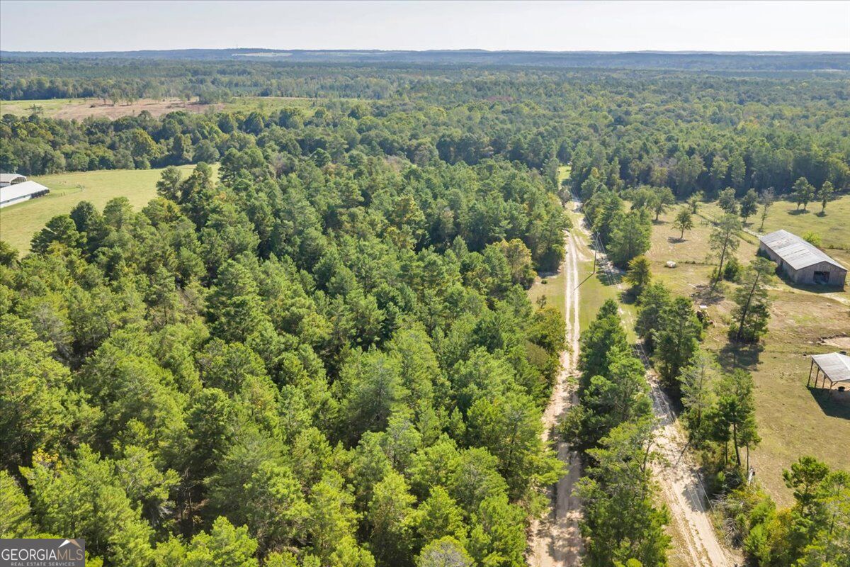 319 Pope Road Roberta GA 31078