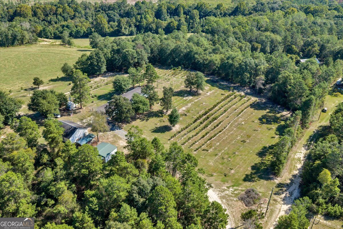 319 Pope Road Roberta GA 31078