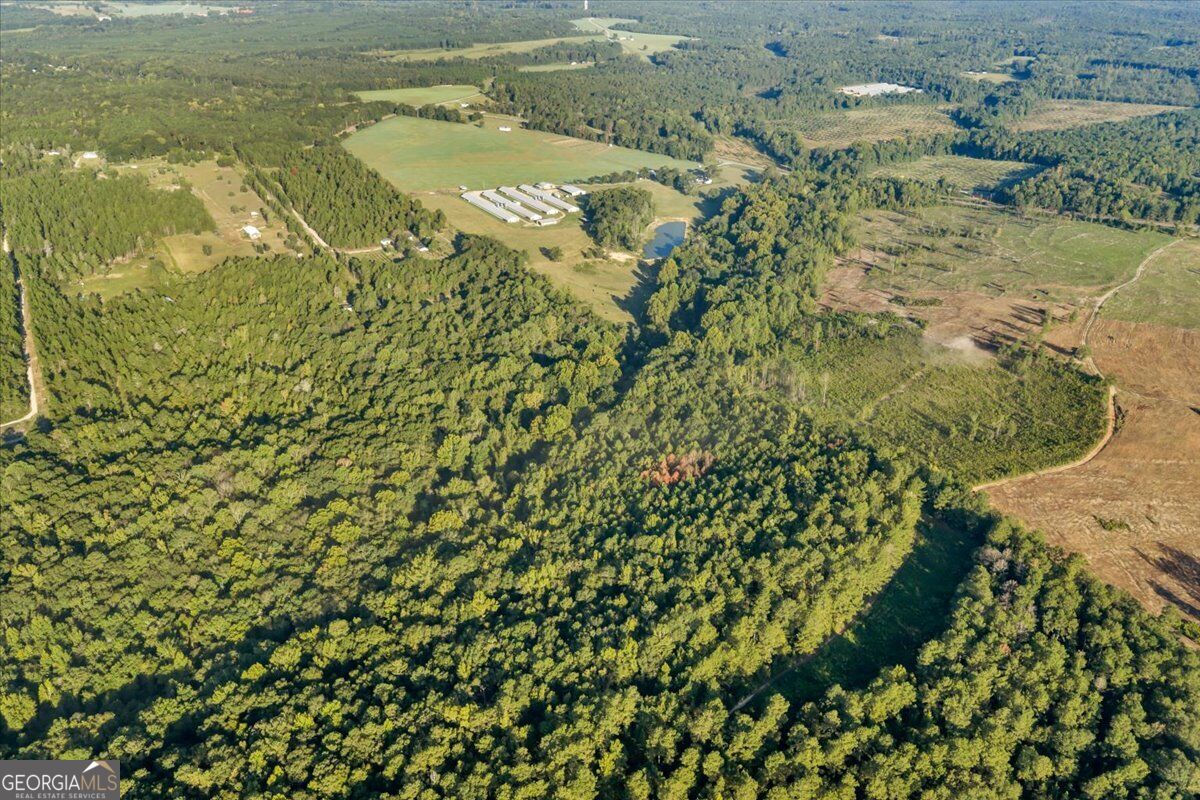 319 Pope Road Roberta GA 31078