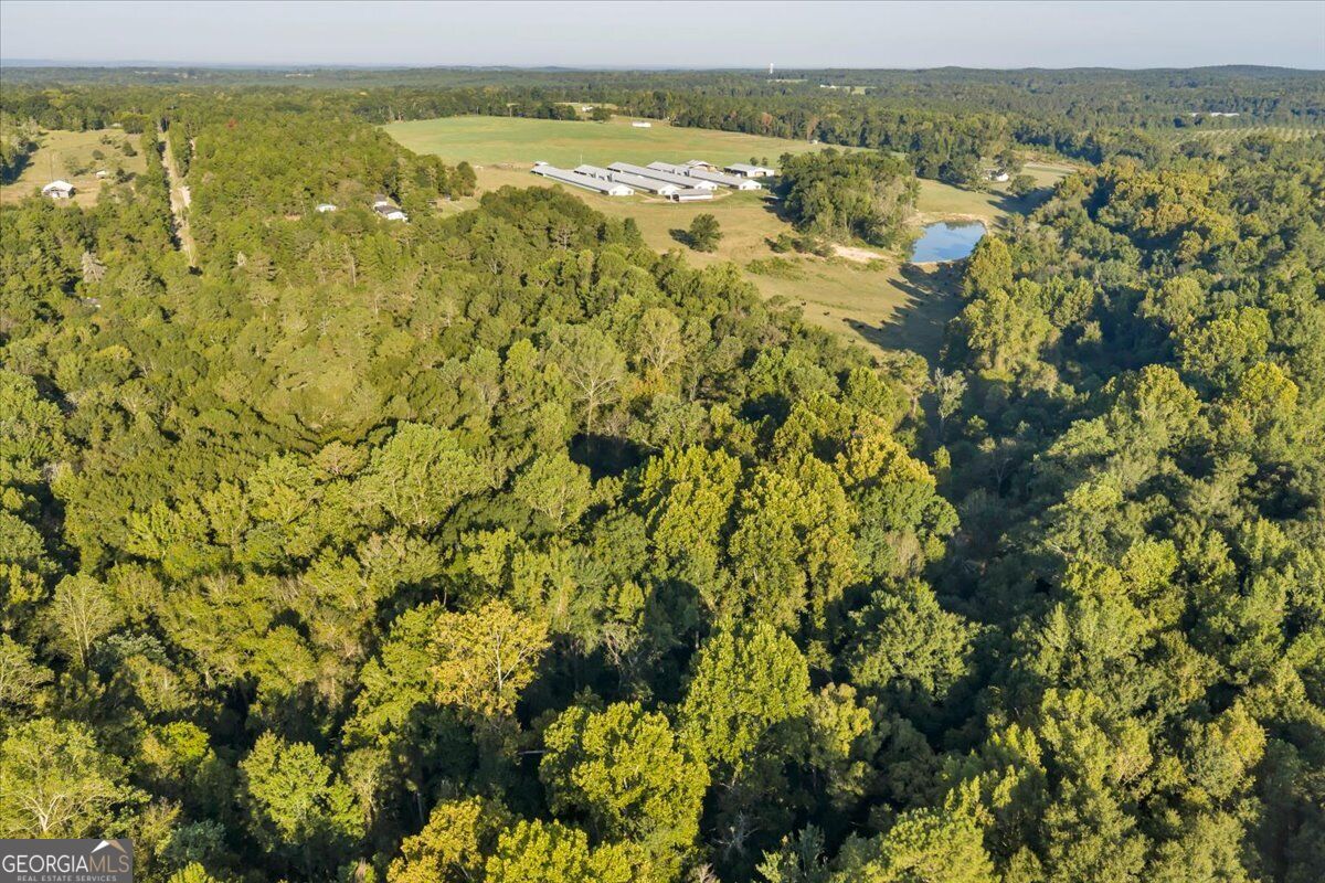 319 Pope Road Roberta GA 31078