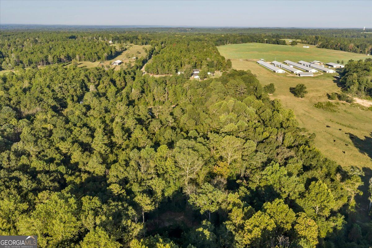 319 Pope Road Roberta GA 31078