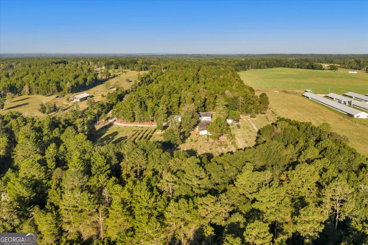319 Pope Road Roberta GA 31078
