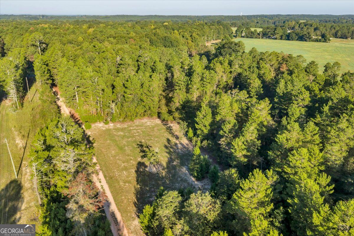 319 Pope Road Roberta GA 31078