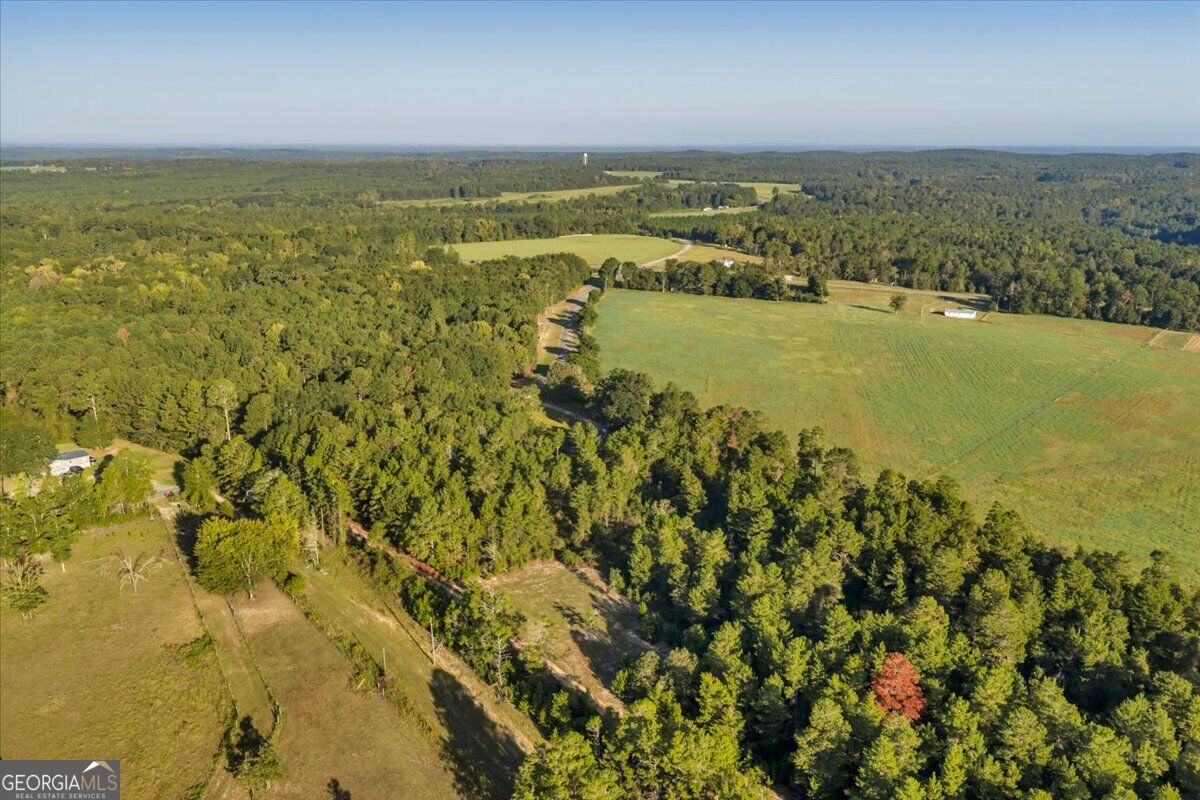319 Pope Road Roberta GA 31078