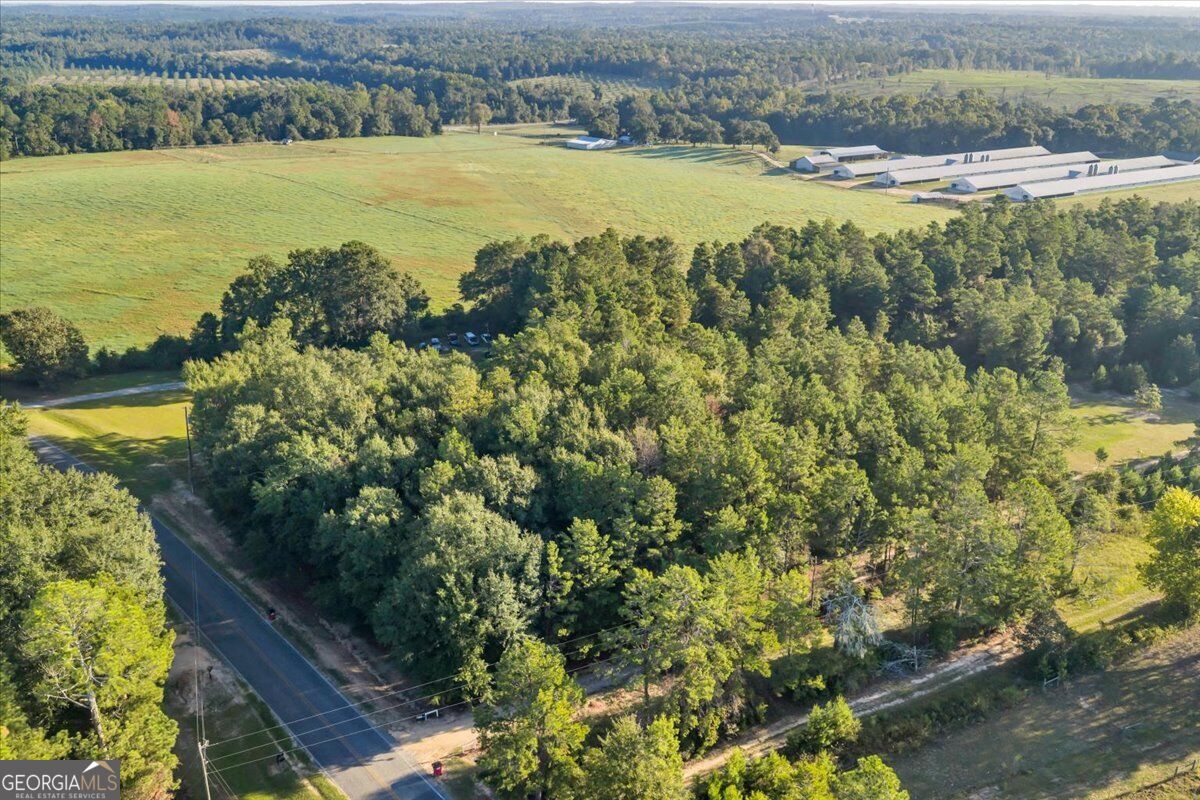319 Pope Road Roberta GA 31078