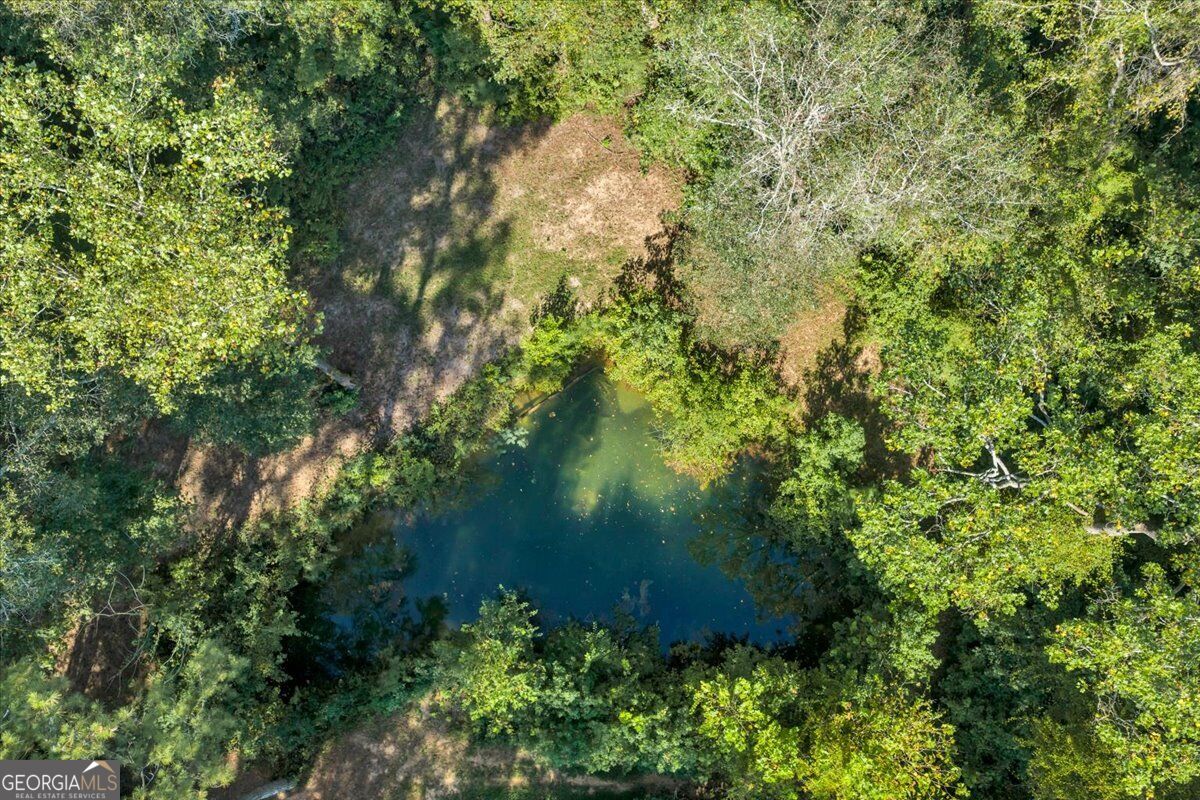 319 Pope Road Roberta GA 31078