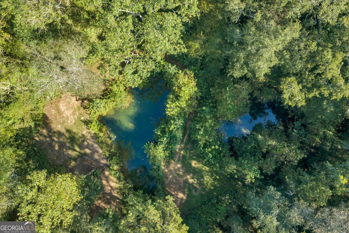 319 Pope Road Roberta GA 31078