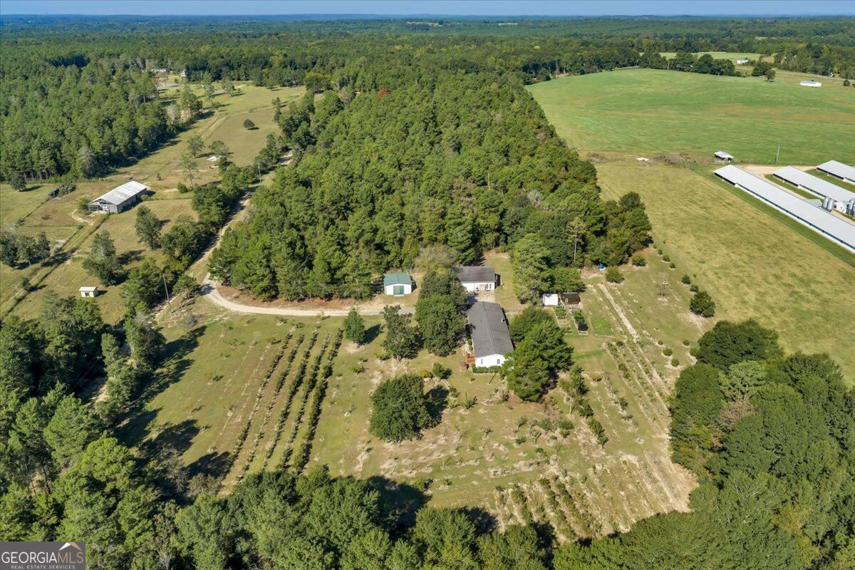 319 Pope Road Roberta GA 31078