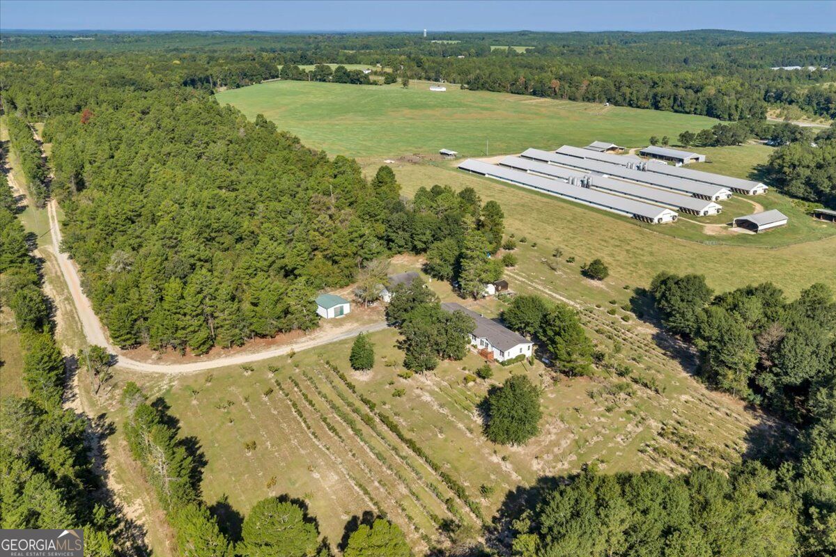 319 Pope Road Roberta GA 31078