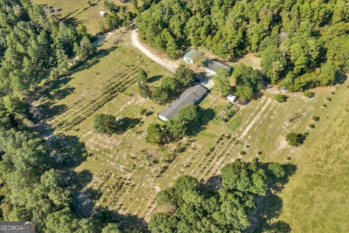 319 Pope Road Roberta GA 31078