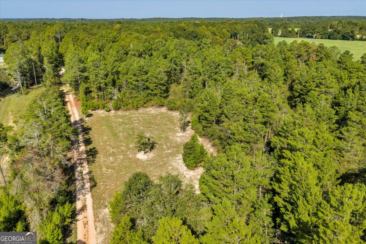 319 Pope Road Roberta GA 31078