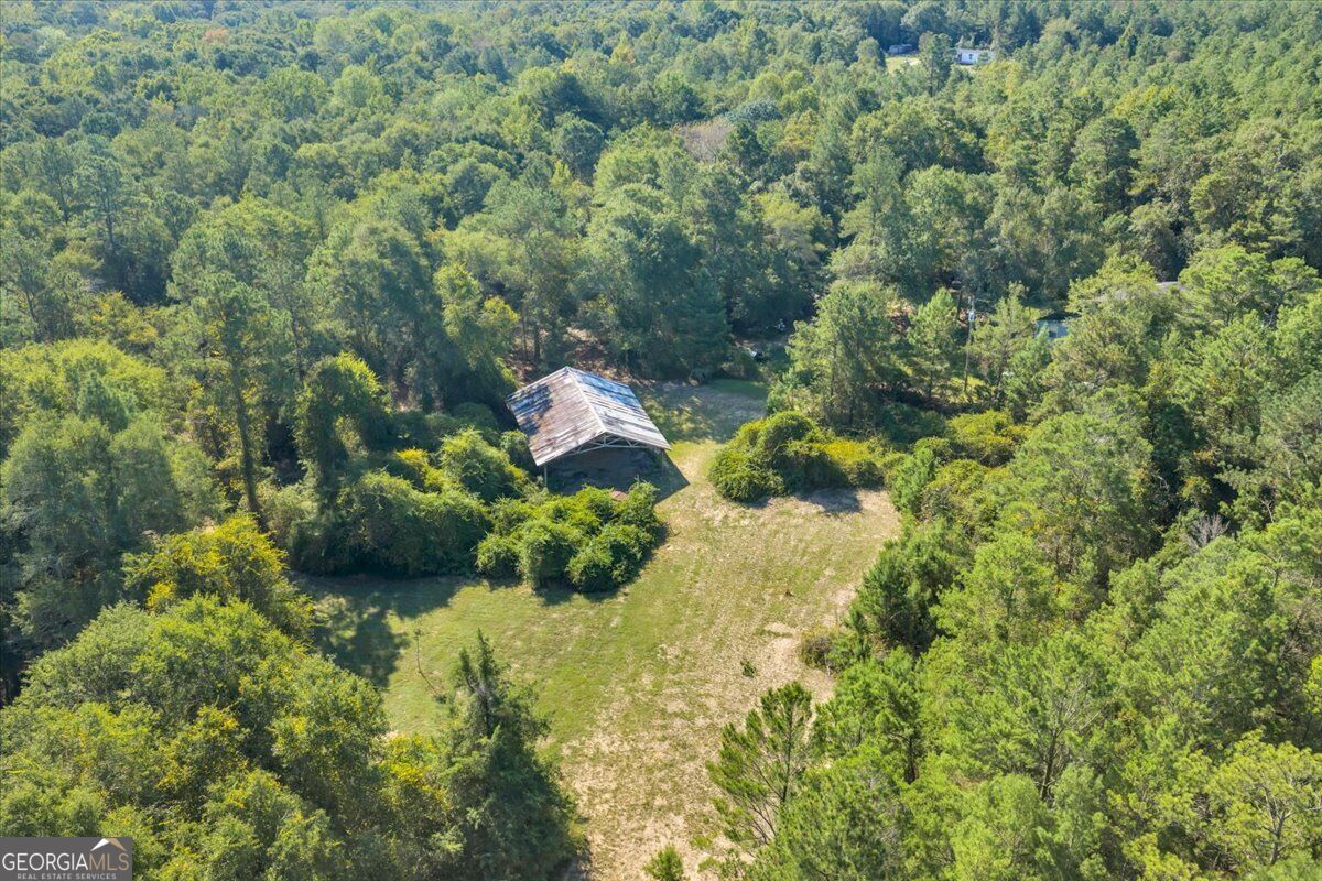 319 Pope Road Roberta GA 31078