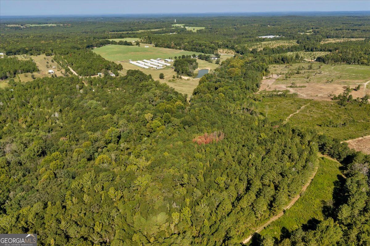 319 Pope Road Roberta GA 31078