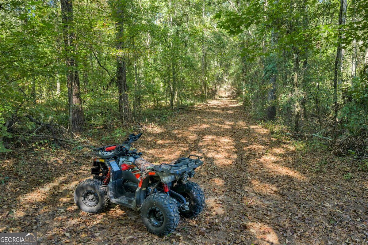 319 Pope Road Roberta GA 31078