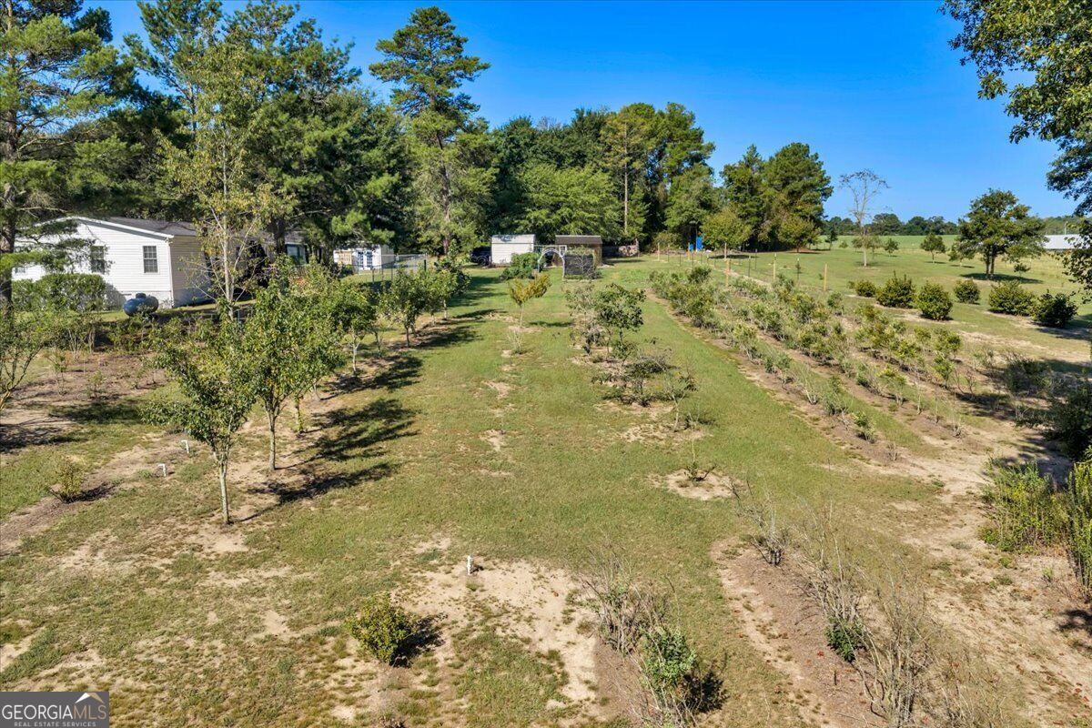319 Pope Road Roberta GA 31078