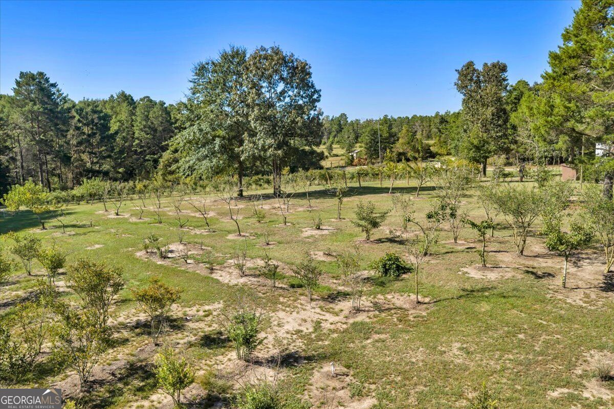 319 Pope Road Roberta GA 31078