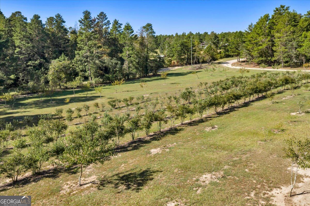 319 Pope Road Roberta GA 31078