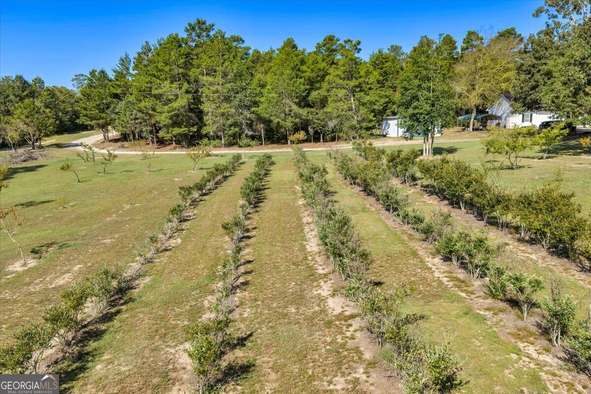 319 Pope Road Roberta GA 31078