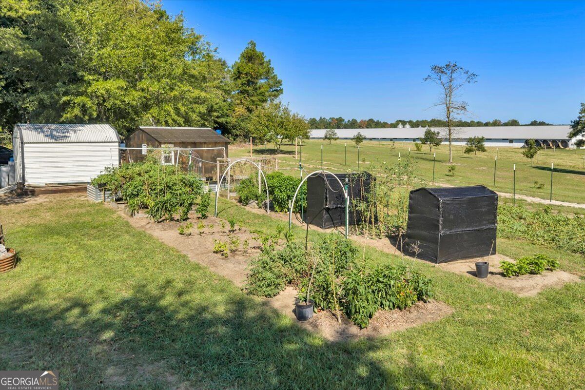 319 Pope Road Roberta GA 31078