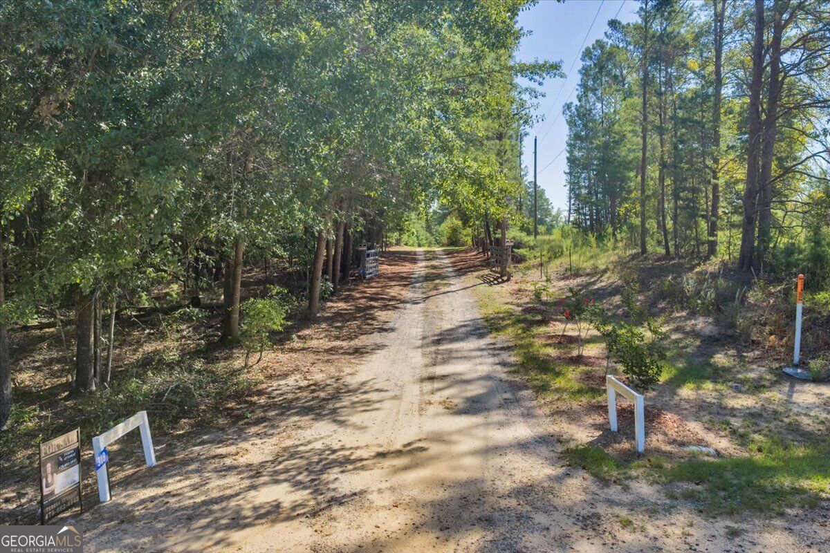 319 Pope Road Roberta GA 31078
