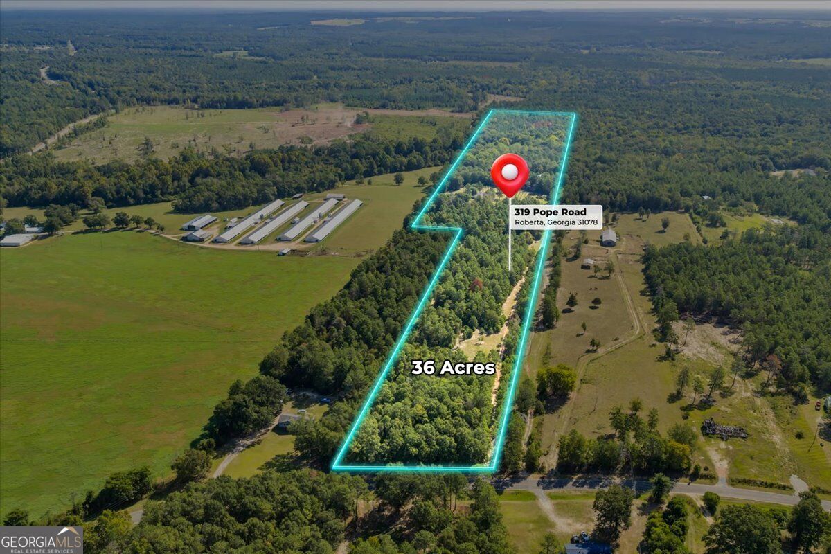 319 Pope Road Roberta GA 31078