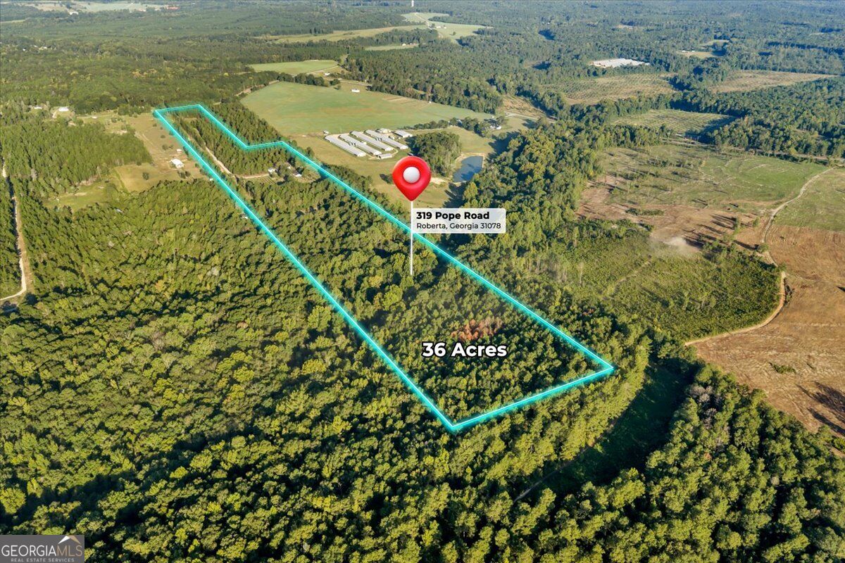 319 Pope Road Roberta GA 31078