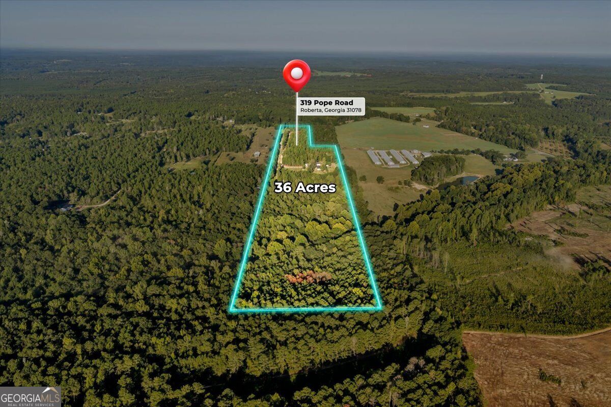 319 Pope Road Roberta GA 31078