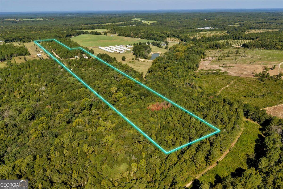 319 Pope Road Roberta GA 31078