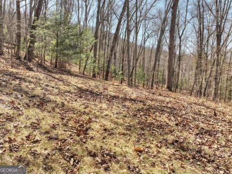 114 Jake Drive Morganton GA 30560