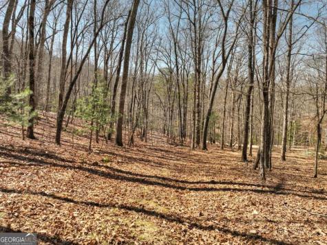 114 Jake Drive Morganton GA 30560