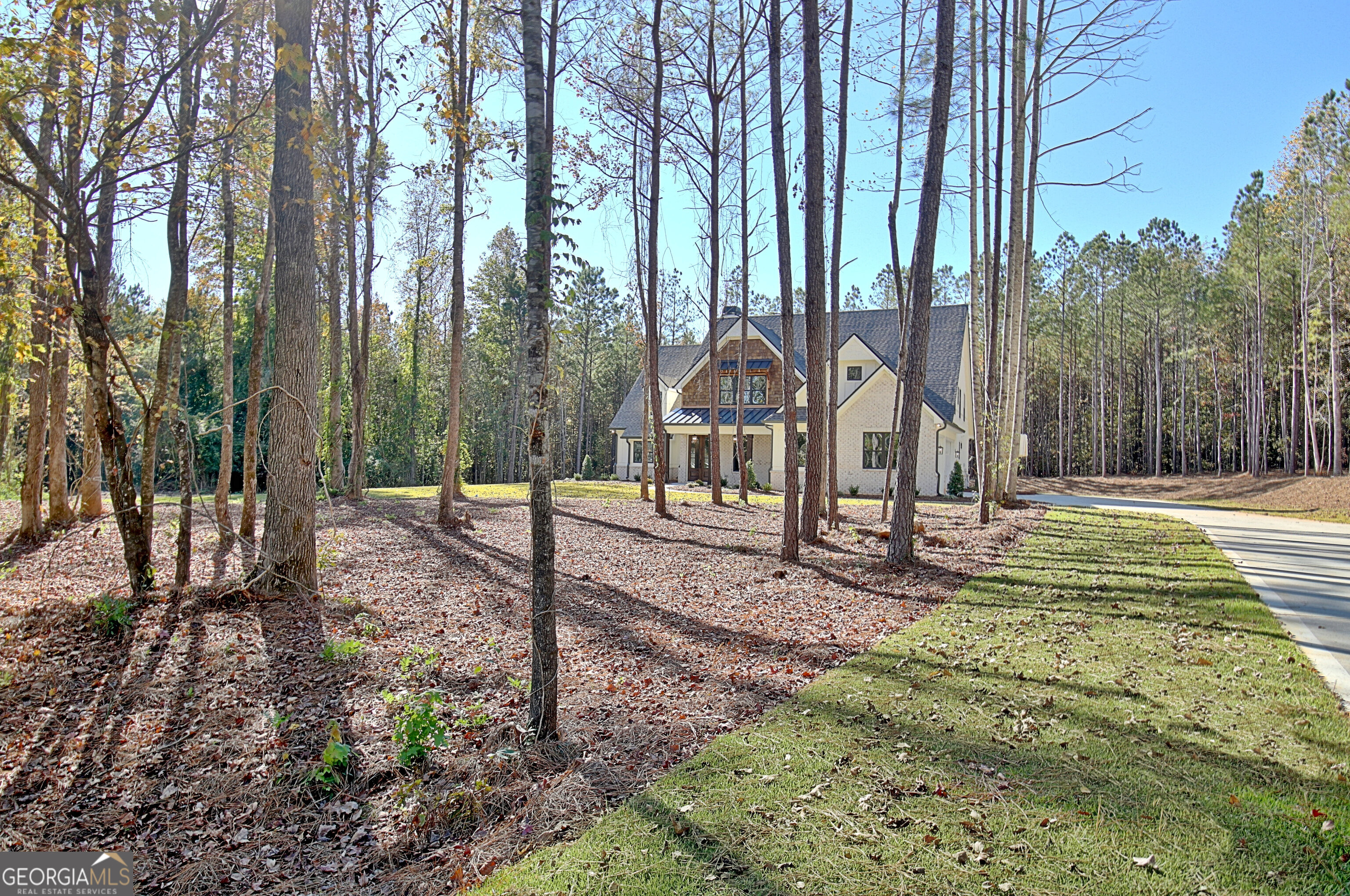 196 Bob Smith Road Sharpsburg GA 30277