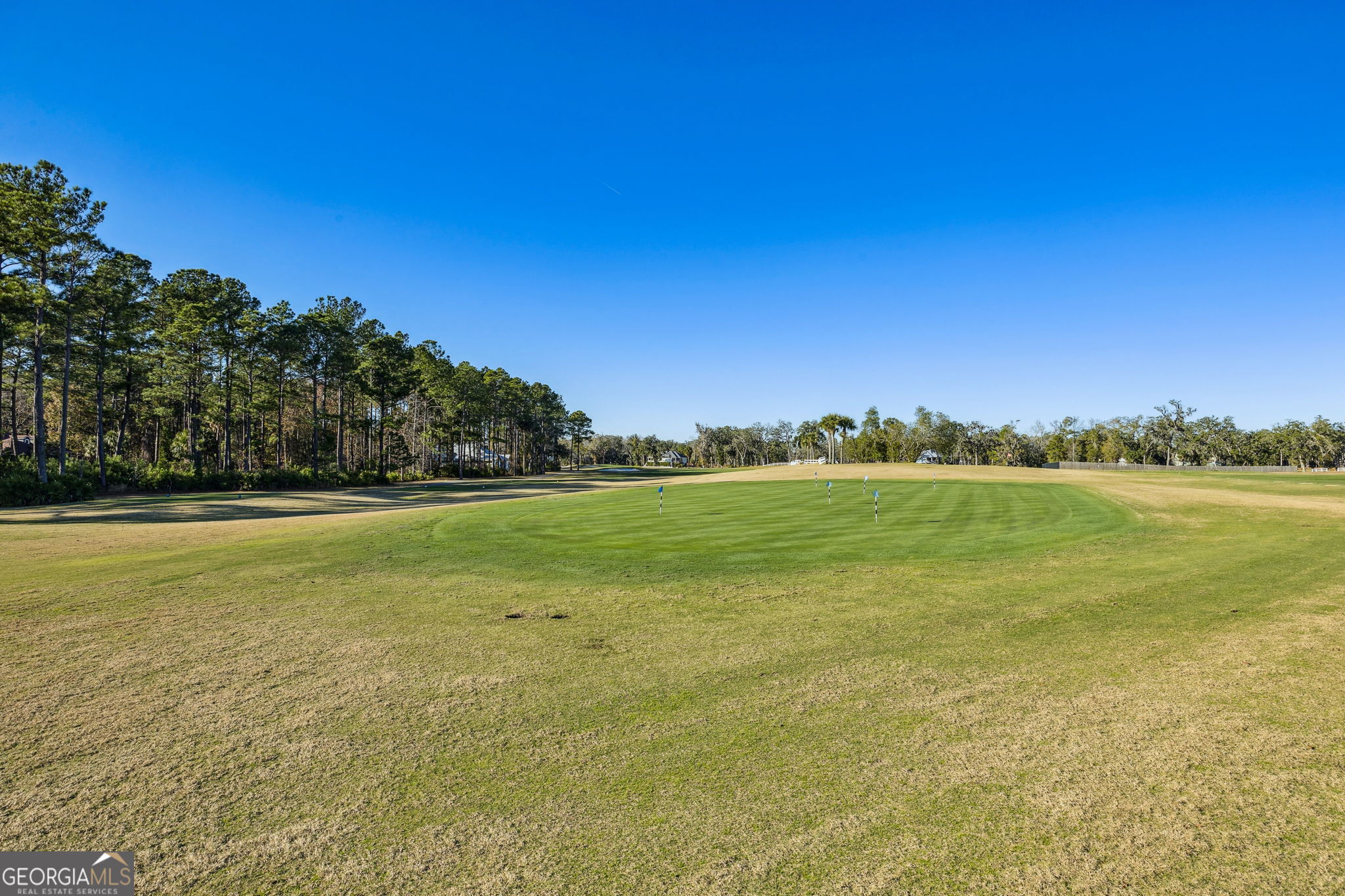 321 Harbour Island Circle Waverly GA 31565